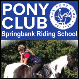 Springbank Riding School PC (image for) Springbank Riding School PC