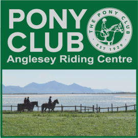 Anglesey Riding Centre Pony Club (image for) Anglesey Riding Centre Pony Club
