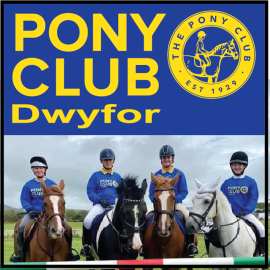Dwyfor Pony Club (image for) Dwyfor Pony Club