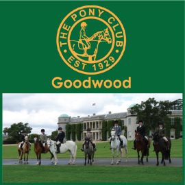 Goodwood Pony Club (image for) Goodwood Pony Club