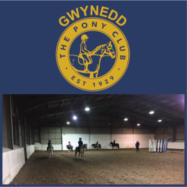 Gwynedd Pony Club (image for) Gwynedd Pony Club