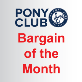 Pony Club Bargain of the Month (image for) Pony Club Bargain of the Month