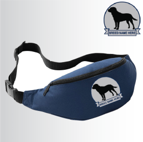 Belt Bag (BG42) (image for) Belt Bag (BG42)