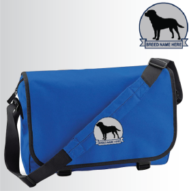 Messenger Bag (BG021) (image for) Messenger Bag (BG021)