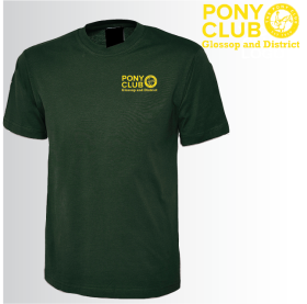 PC Unisex Classic T-Shirt (UC302) (image for) PC Unisex Classic T-Shirt (UC302)