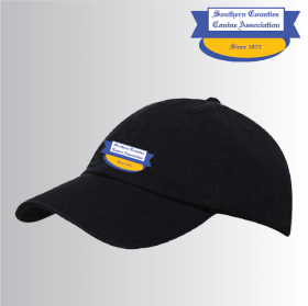 DC Cotton Chino Caps (H4618) (image for) DC Cotton Chino Caps (H4618)