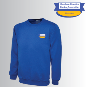 DC Child Classic Sweat Shirt (UC202) (image for) DC Child Classic Sweat Shirt (UC202)