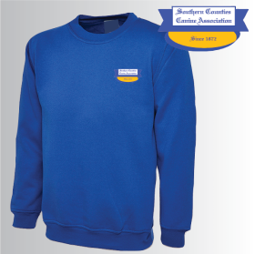 DC Unisex Classic Sweat Shirt (UC203) (image for) DC Unisex Classic Sweat Shirt (UC203)