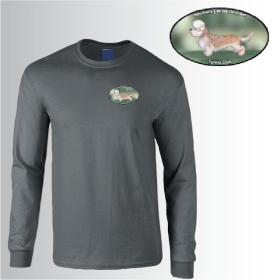 Long Sleeve T-Shirt (GD14) (image for) Long Sleeve T-Shirt (GD14)