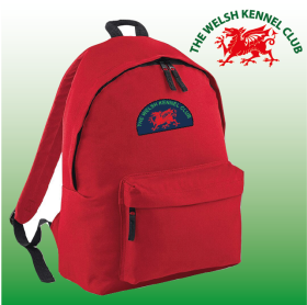 DC Backpack (BG125) (image for) DC Backpack (BG125)