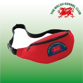 DC Belt Bag (BG42) (image for) DC Belt Bag (BG42)