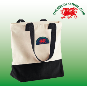 DC Canvas Two-Tone Tote Bag (BG683) (image for) DC Canvas Two-Tone Tote Bag (BG683)