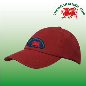 DC Cotton Chino Caps (H4618) (image for) DC Cotton Chino Caps (H4618)