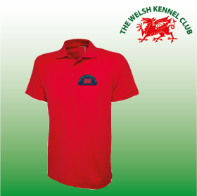 DC Child Classic Polo Shirt (UC103) (image for) DC Child Classic Polo Shirt (UC103)