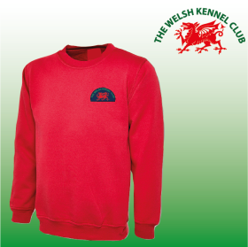 DC Child Classic Sweat Shirt (UC202) (image for) DC Child Classic Sweat Shirt (UC202)