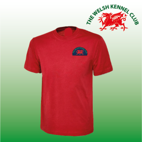 DC Child Classic T-Shirt (UC306) (image for) DC Child Classic T-Shirt (UC306)