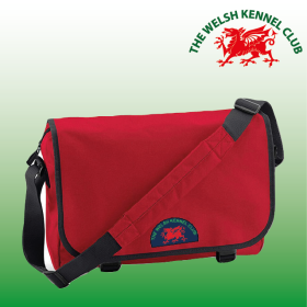 DC Messenger Bag (BG021) (image for) DC Messenger Bag (BG021)