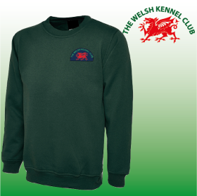 DC Unisex Classic Sweat Shirt (UC203) (image for) DC Unisex Classic Sweat Shirt (UC203)