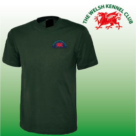 DC Unisex Classic T-Shirt (UC301) (image for) DC Unisex Classic T-Shirt (UC301)